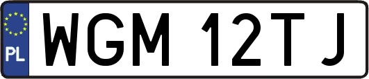WGM12TJ