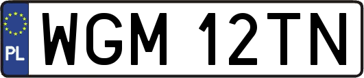 WGM12TN