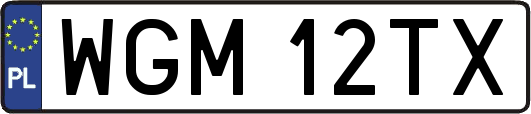 WGM12TX