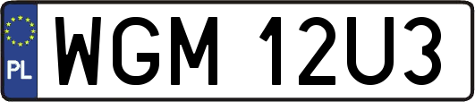WGM12U3