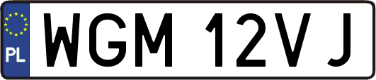 WGM12VJ