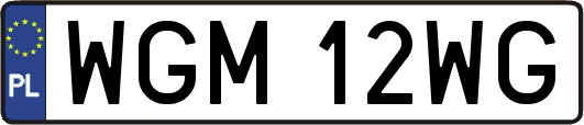 WGM12WG