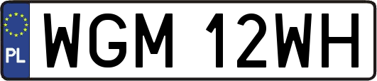 WGM12WH