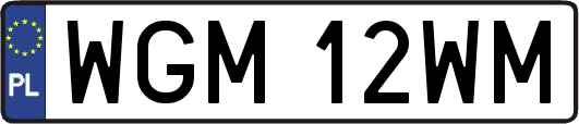 WGM12WM