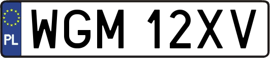 WGM12XV
