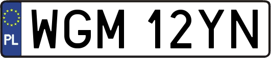 WGM12YN