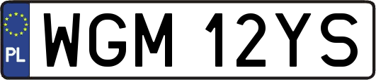 WGM12YS