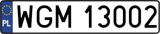 WGM13002