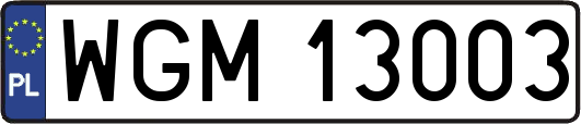 WGM13003