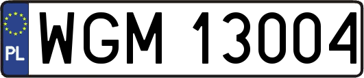 WGM13004
