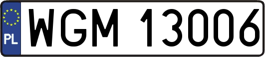 WGM13006