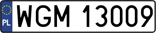 WGM13009