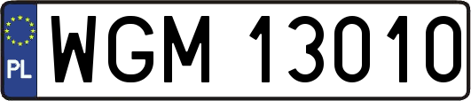 WGM13010