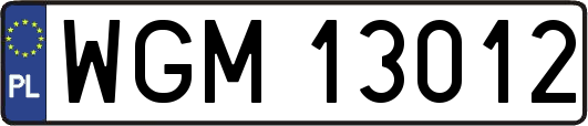 WGM13012
