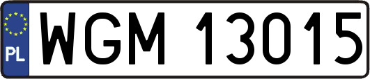 WGM13015