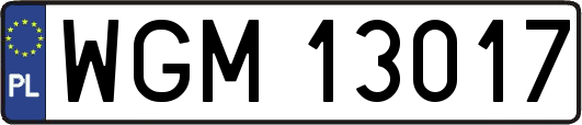 WGM13017