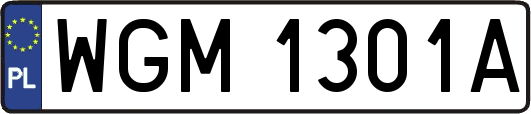 WGM1301A