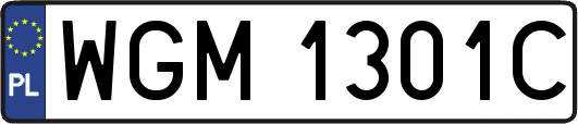 WGM1301C