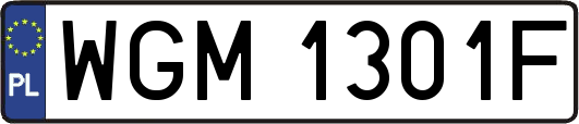 WGM1301F