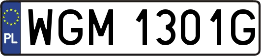 WGM1301G