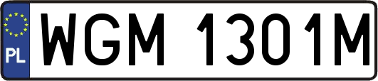 WGM1301M