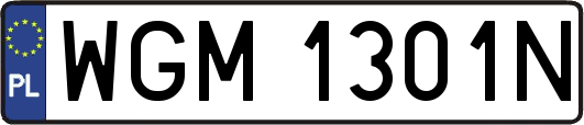 WGM1301N
