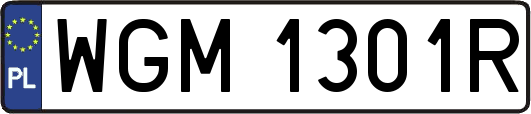 WGM1301R