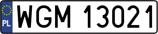 WGM13021
