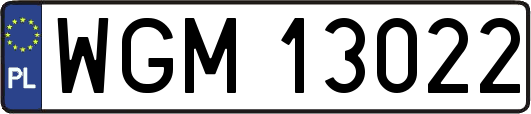 WGM13022