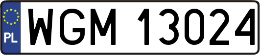 WGM13024