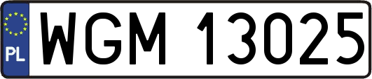 WGM13025