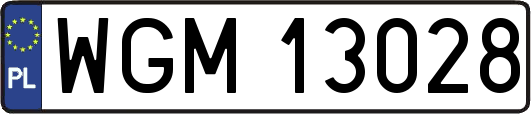 WGM13028