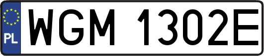 WGM1302E