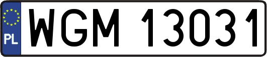 WGM13031