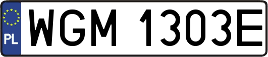 WGM1303E