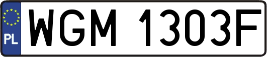 WGM1303F