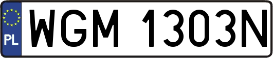 WGM1303N
