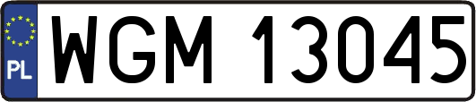 WGM13045