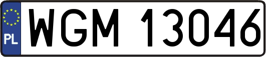 WGM13046