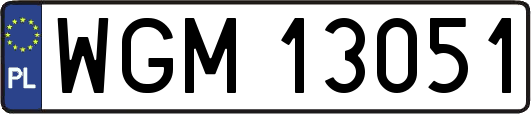 WGM13051