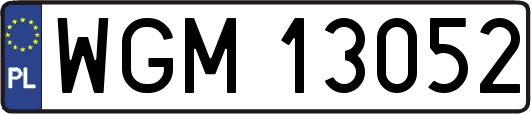 WGM13052