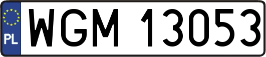 WGM13053