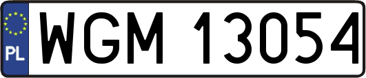 WGM13054
