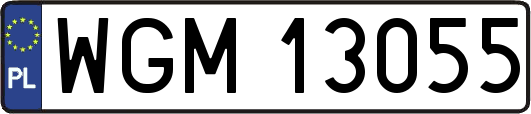WGM13055