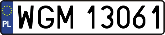WGM13061