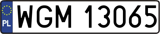 WGM13065