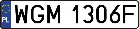 WGM1306F