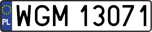 WGM13071