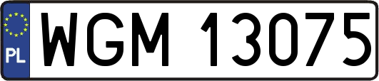 WGM13075