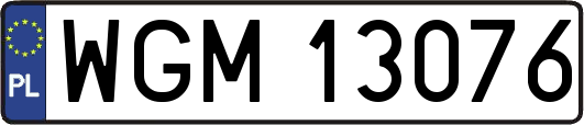 WGM13076
